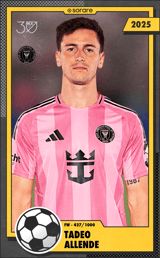 Tadeo Allende - limited
