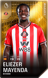 Eliezer Mayenda - limited