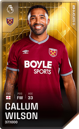 Callum Wilson - limited