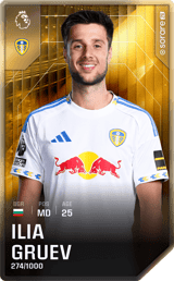 Ilia Gruev - limited