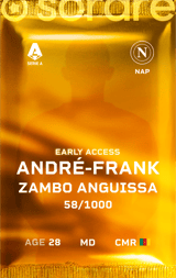 André-Frank Zambo Anguissa - limited