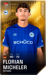 Florian Micheler - limited