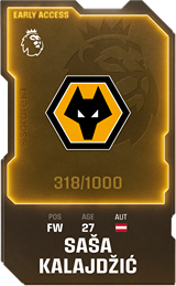 Saša Kalajdžić - limited