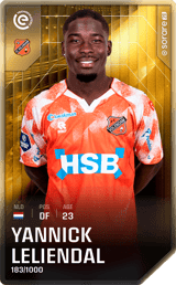 Yannick Leliendal - limited