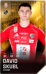 David Skubl - limited