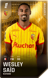 Wesley Saïd - limited