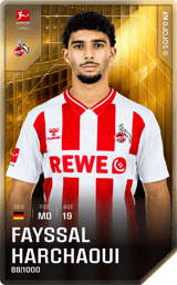 Fayssal Harchaoui - limited