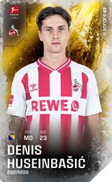 Denis Huseinbašić - limited