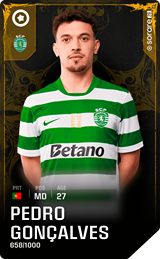 Pedro Gonçalves - limited