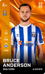 Bruce Anderson - limited