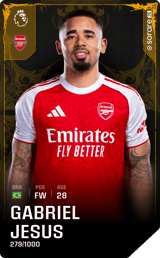 Gabriel Jesus - limited