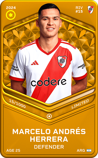 Marcelo&nbsp;Andrés Herrera - limited