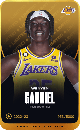 Wenyen Gabriel - limited