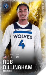 Rob Dillingham - limited