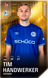 Tim Handwerker - limited