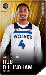 Rob Dillingham - limited