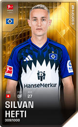 Silvan Hefti - limited