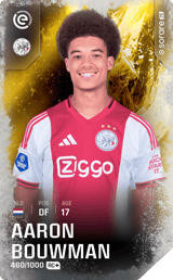 Aaron Bouwman - limited