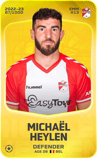 Michaël Heylen - limited