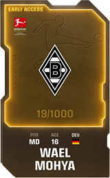 Wael Mohya - limited