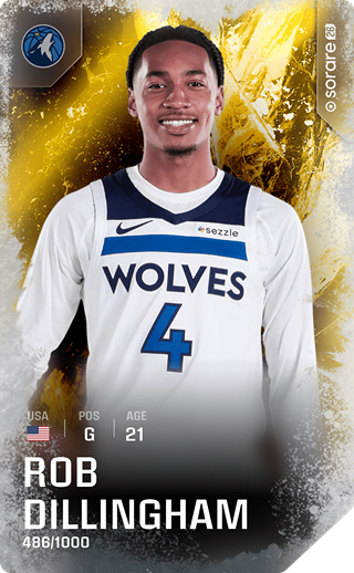 Rob Dillingham - limited