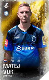 Matej Vuk - limited