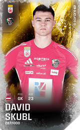 David Skubl - limited