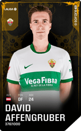 David Affengruber - limited