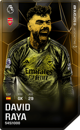 David Raya - limited