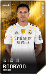 Rodrygo - limited