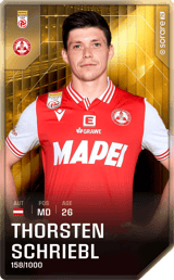 Thorsten Schriebl - limited