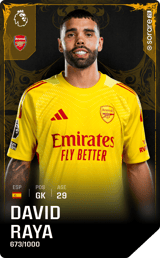 David Raya - limited