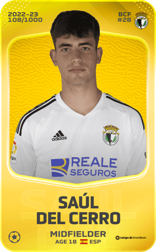 Saúl del Cerro - limited