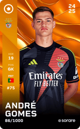 André Gomes - limited