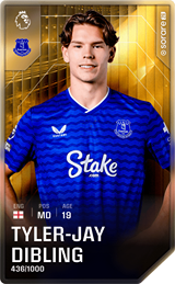 Tyler-Jay Dibling - limited