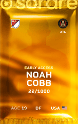 Noah Cobb - limited