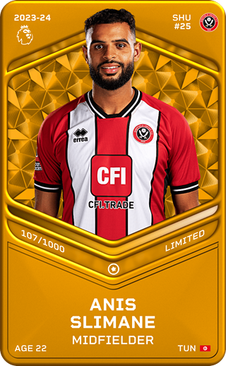 Anis Slimane - limited