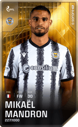Mikaël Mandron - limited