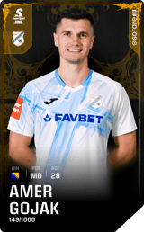 Amer Gojak - limited