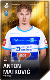 Anton Matković - limited