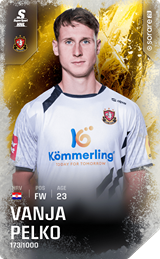 Vanja Pelko - limited
