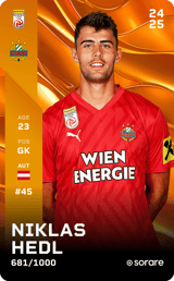 Niklas Hedl - limited