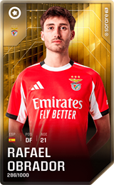 Rafael Obrador - limited