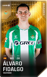 Álvaro Fidalgo - limited