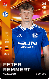 Peter Remmert - limited