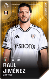 Raúl Jiménez - limited
