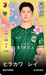 Rei Hirakawa - limited