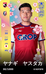 Yasutaka Yanagi - limited