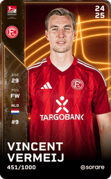 Vincent Vermeij - limited