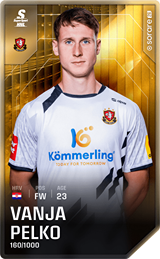 Vanja Pelko - limited